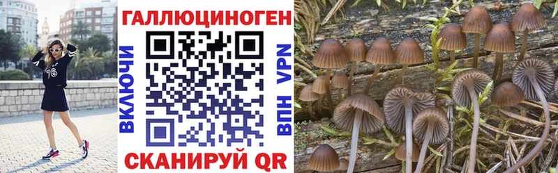 закладки  Казань  OMG как зайти  Псилоцибиновые грибы GOLDEN TEACHER 
