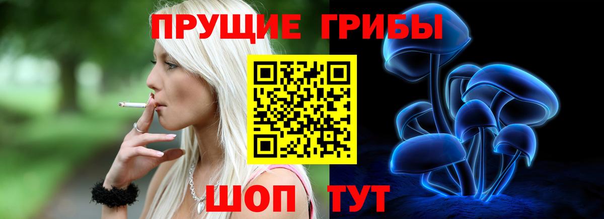 Казань  Псилоцибиновые грибы Cubensis  Вход с VPN 